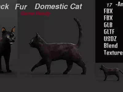 Black Domestic Cat Low-poly 3D model