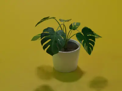 Monstera indoor plant PBR Ready for Unreal Engine 5 Low-poly 3D model