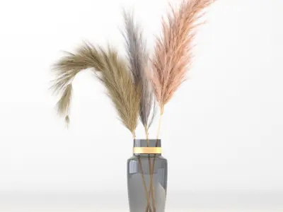 Pampas-grass three dried grasses in vase 3D model