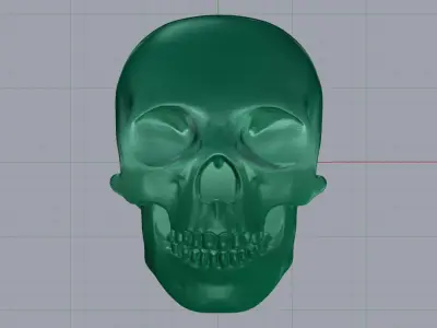 Skull 11 3D print model