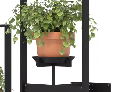 Boho Hanging Plants 04 3D model