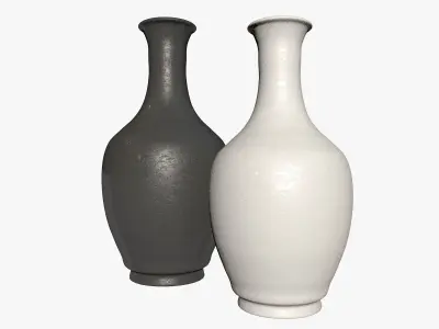 Two Black and White Vases 3D model