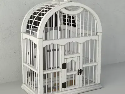 Decorative Cage with Mirror by ZARA HOME 3D model