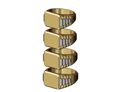 Rectangular presidential link inserts signet US sizes 7to10 3D print model