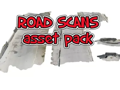 Road Scans 3D model