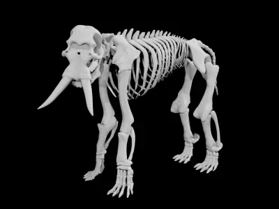 Elephant skeleton Low-poly 3D model