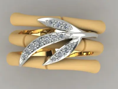 CyC ring 3D print model