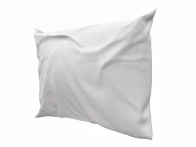 Solid Pillow 13 3D model