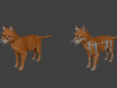 Orange cat Low-poly 3D model