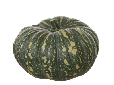 Photoscanned Kent Pumpkin Low-poly 3D model