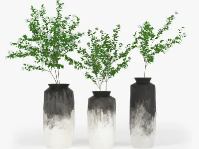 Branch three vases with plants 3D model