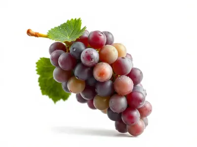 Dewy Grape Bunch Sculpture Model Pack Low-poly 3D model