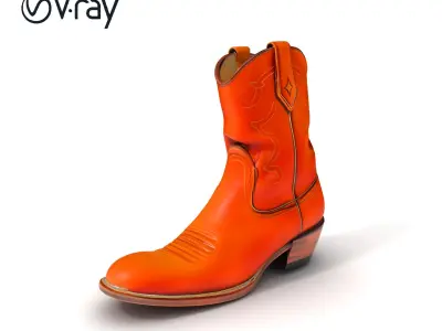 Cowboy Boot D Model Pack Low-poly 3D model