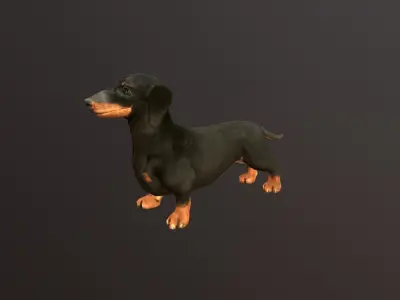dachshund dog pet Low-poly 3D model