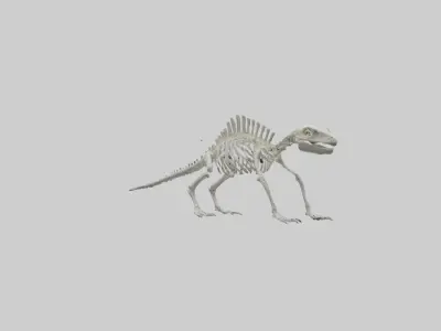 Lizard Skeleton model Low-poly 3D model