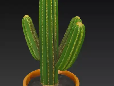 Cactus Pot Plant 3d Model 3D model