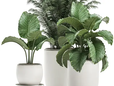 Plants in a white flowerpot for decor and interior design 504 3D model
