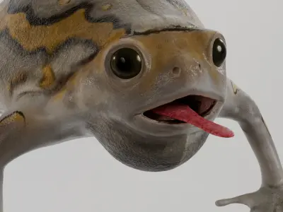 Lowpoly Banded Bullfrog Low-poly 3D model