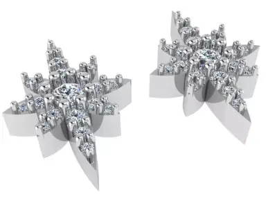 Star Diamond Earring 2555 3D print model