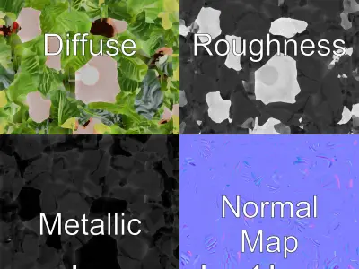 Potted Alocasia Luxurious Decorative model pack Low-poly 3D model