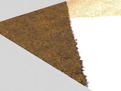 Carpet 3D model