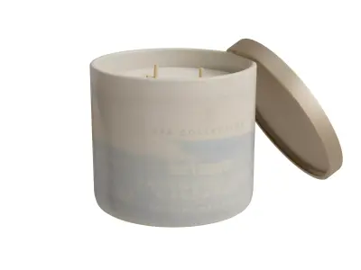 Cardamom Filled 3-Wick Candle Low-poly 3D model