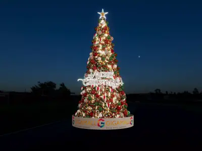 Australia Christmas Tree Concept 3D model
