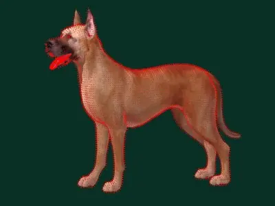 Great Dane Dog Breed  3D model