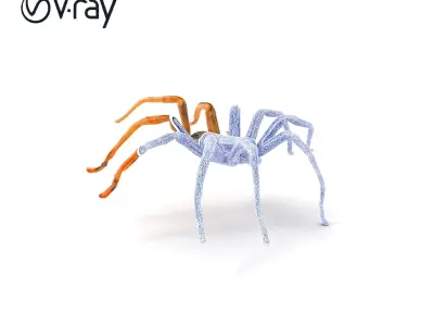 Huntsman Spider Agile Model Pack Low-poly 3D model