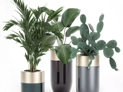 Houseplants in a luxury pot for the interior 704 3D model
