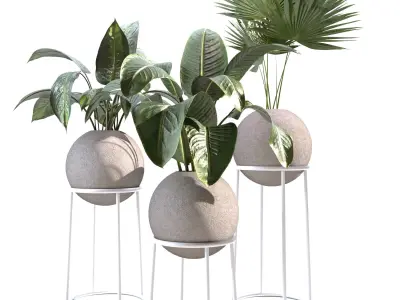 plant collection set 02