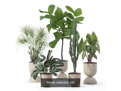 20 Photorealistic Flowers for Interiors - set 118 125 132 135 3D Model Collection