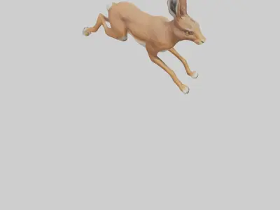 Hare running model Low-poly 3D model