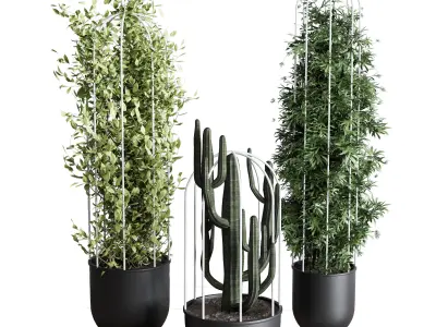 indoor plant bamboo palm cactus grass stand black pot  3D model