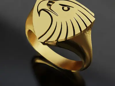 Hawks Australia Football Fans 3D print model  3D print model