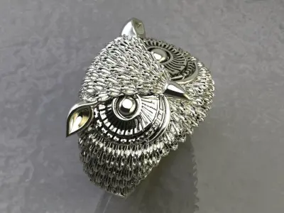 Ring Owl 3D print model