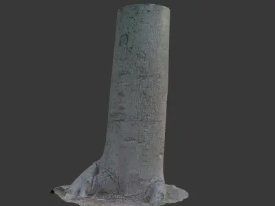 Realistic 3D Scanned Smooth-Bark Tree Trunk Low-poly 3D model