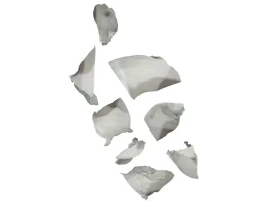 Crumpled Napkins Set 3D model