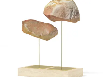 Rock Samples 3D model