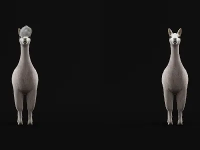 Llama Low-poly 3D model