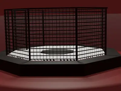 MMA Octagon Cage Free low-poly 3D model