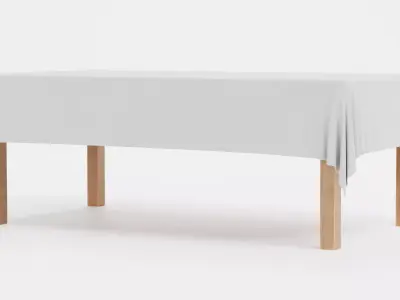 -Tablecloth with Table Rectangular- 3D model