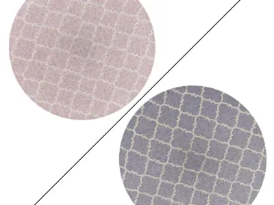Round Rug Set 89 3D model