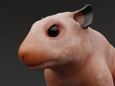 Realistic Hamster Low-poly 3D model