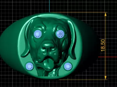  Ring Golden  Pendent 3D print model