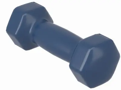 Dumbbell Hex 3D model