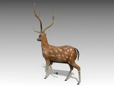 Deer Animated Low-poly 3D model