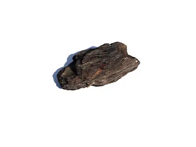 Bark Chip 3D Scan Free 3D model