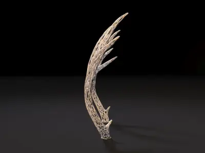 Deer horns 3D print model