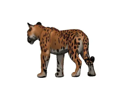 Florida Panther Low-poly 3D model